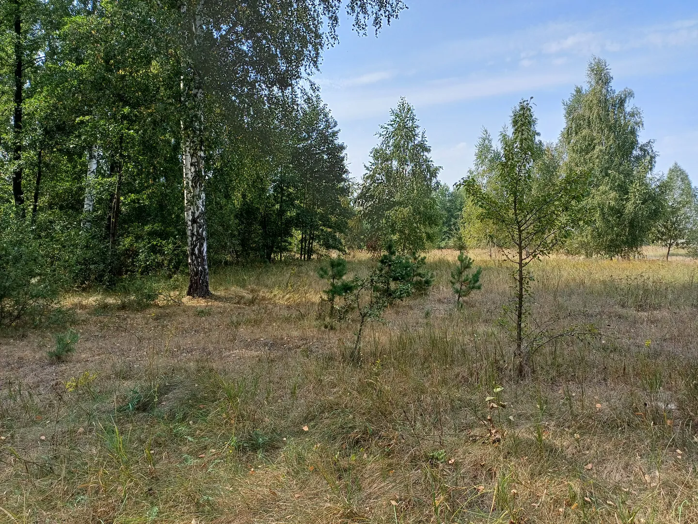 Ділянка під будівництво — фото 3 з 14