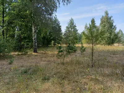 Ділянка під будівництво — мініатюра фото 3