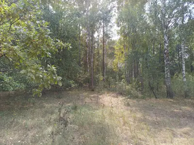 Ділянка під будівництво — мініатюра фото 4