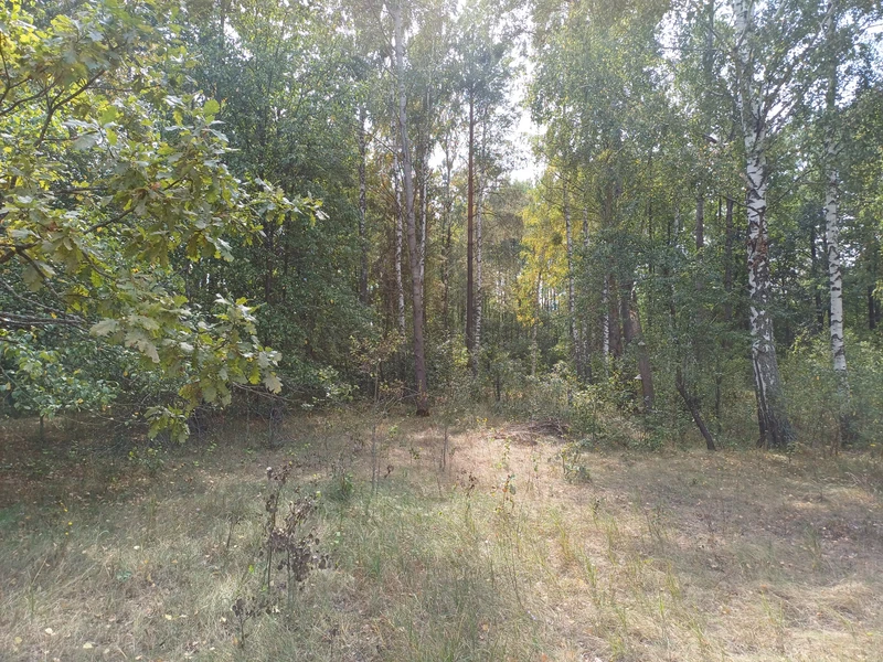 Ділянка під будівництво — фото 4 з 14