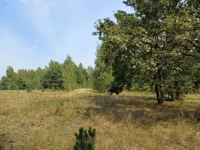 Ділянка під будівництво — мініатюра фото 5