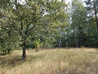 Ділянка під будівництво — мініатюра фото 6