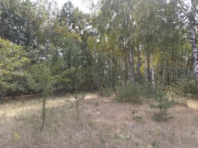 Ділянка під будівництво — мініатюра фото 8