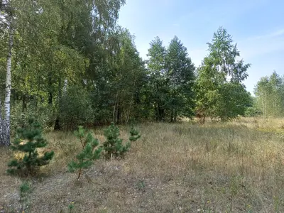 Ділянка під будівництво — мініатюра фото 10
