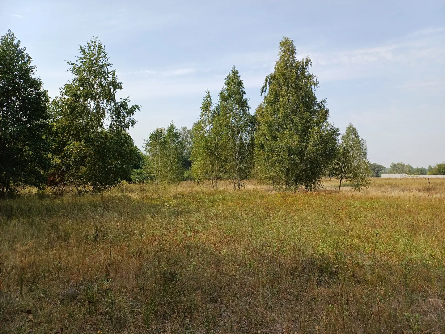 Ділянка під будівництво — фото 11 з 14