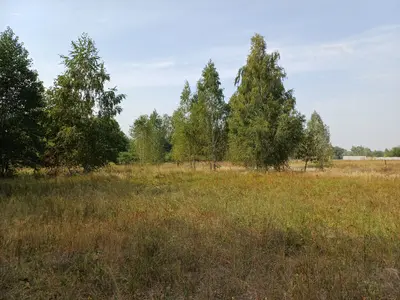 Ділянка під будівництво — мініатюра фото 11