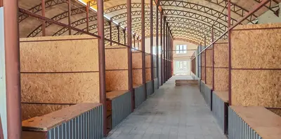 Продається діючий комерційний майновий комплекс — Іванківський ринок — мініатюра фото 13
