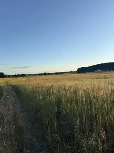 Продам ділянку біля лісу та озера — мініатюра фото 1