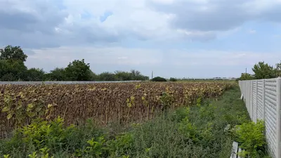 Продається земельна ділянка! — мініатюра фото 1