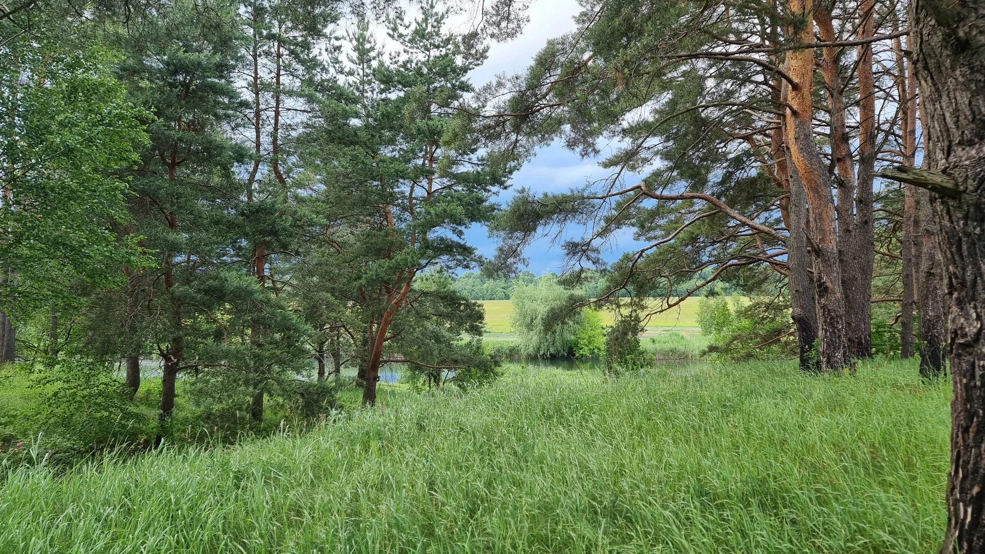 Продаж  — фото 4 з 4
