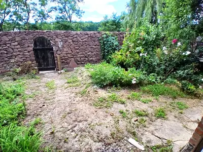 Продаж земельної ділянки- 25 сот під забудову(є невеличкий будинок)+11,21 сот під с/г(можна перевести під будівництво) — мініатюра фото 3