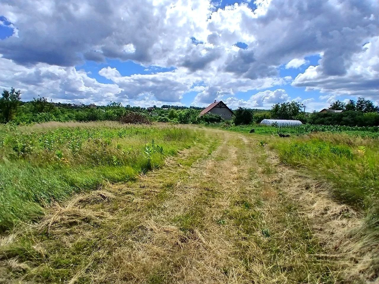 Продаж земельної ділянки- 25 сот під забудову(є невеличкий будинок)+11,21 сот під с/г(можна перевести під будівництво) — фото 10 з 20