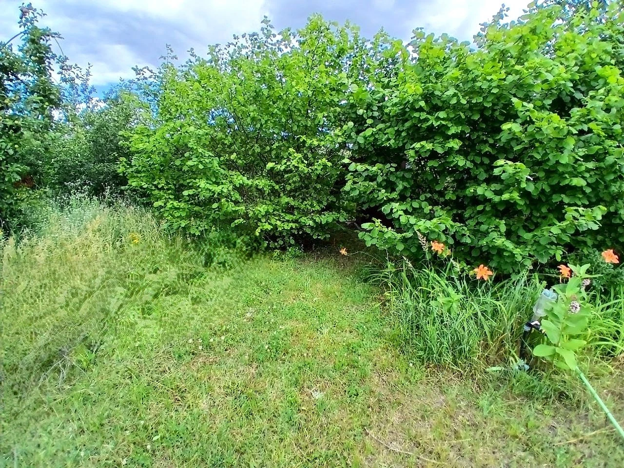 Продаж земельної ділянки- 25 сот під забудову(є невеличкий будинок)+11,21 сот під с/г(можна перевести під будівництво) — фото 11 з 20