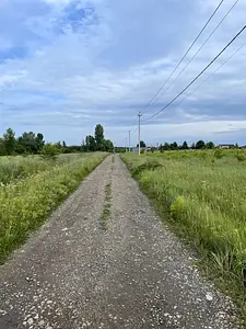 Малютянка 8 соток + Електрика, Поруч КМ "Рябинки", Боярка, Заборье — мініатюра фото 6