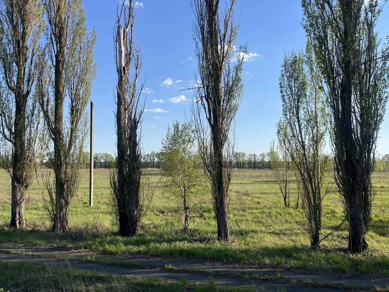 Продаж ділянки 2.9117 га — фото 5 з 5