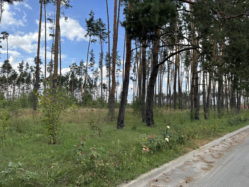 Продаж земельноі ділянки під котеджную забудова, на ділянці є соснові дерева, цільове 01.05, ціна 500у.о.сотка Власник +380981521212 — фото 1 з 5