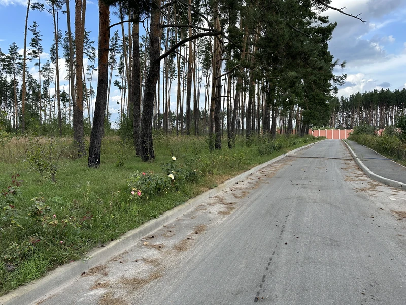 Продаж земельноі ділянки під котеджную забудова, на ділянці є соснові дерева, цільове 01.05, ціна 500у.о.сотка Власник +380981521212 — фото 3 з 5
