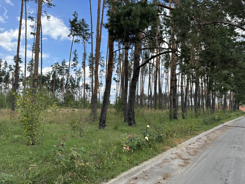 Продаж земельноі ділянки під котеджную забудова, на ділянці є соснові дерева, цільове 01.05, ціна 500у.о.сотка Власник +380981521212 — фото 4 з 5