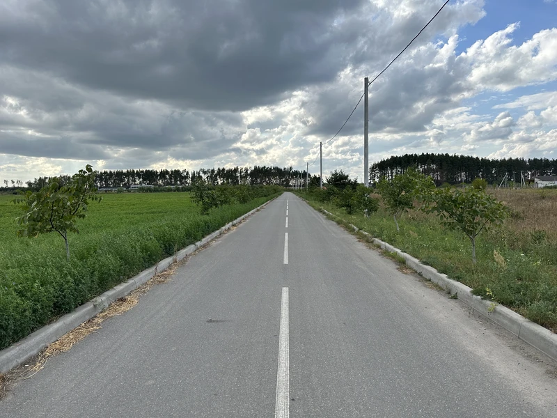 Продаж земельноі ділянки під котеджную забудова, на ділянці є соснові дерева, цільове 01.05, ціна 500у.о.сотка Власник +380981521212 — фото 5 з 5