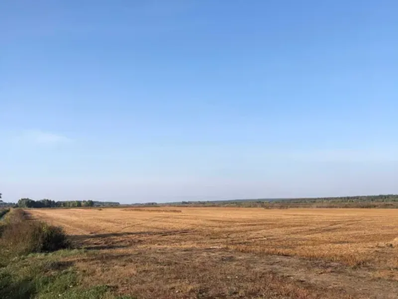 Гостомель продаж ділянки під ОСГ — фото 3 з 3