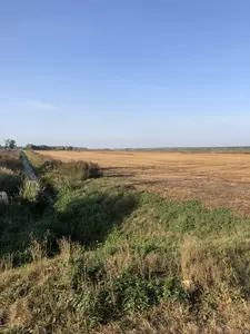 Гостомель продаж ділянки під ОСГ — мініатюра фото 2