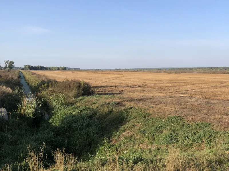 Гостомель продаж ділянки під ОСГ — фото 2 з 3