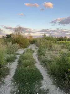 Ексклюзивні ділянки на березі Десенки (затока Доманя) — Деснянський р-н. Троєщина — мініатюра фото 17