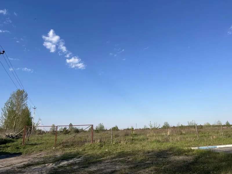 Продаж земельної ділянки 2.9114 га — фото 3 з 7