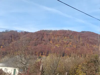 Продаж земельної ділянки 10 соток — мініатюра фото 1