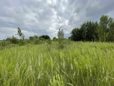 Продаж двох прилеглих ділянок правильної форми у житловому масиві "Хутір Дальній"  — мініатюра фото 2