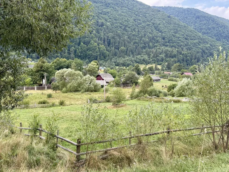 Продаж / Земля / ОСГ / Коростів / Стрийський, Львівська обл. — фото 6 з 9