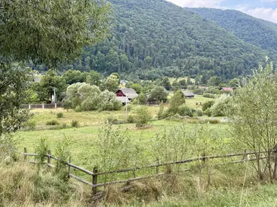 Продаж / Земля / ОСГ / Коростів / Стрийський, Львівська обл. — мініатюра фото 6