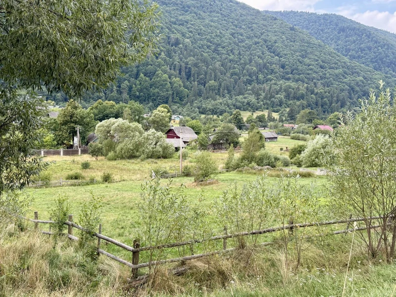 Продаж / Земля / ОСГ / Коростів / Стрийський, Львівська обл. — фото 6 з 9