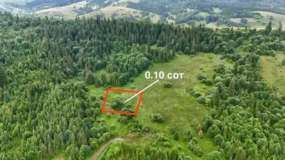 Продаж / Земля / Будівництво / Сухий Потік (Орявчик) / Стрийський, Львівська обл. — мініатюра фото 2