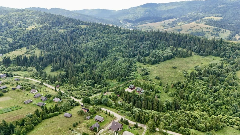 Продаж / Земля / Будівництво / Сухий Потік (Орявчик) / Стрийський, Львівська обл. — фото 5 з 10