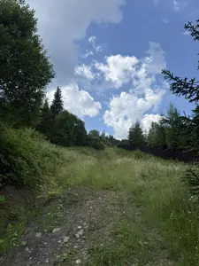 Продаж / Земля / Будівництво / Сухий Потік (Орявчик) / Стрийський, Львівська обл. — мініатюра фото 6
