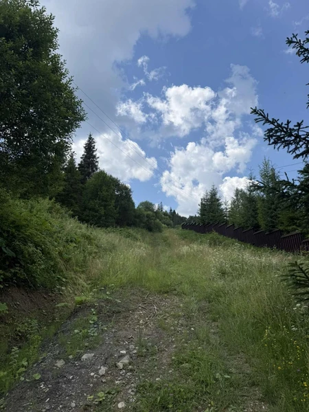 Продаж / Земля / Будівництво / Сухий Потік (Орявчик) / Стрийський, Львівська обл. — фото 6 з 10