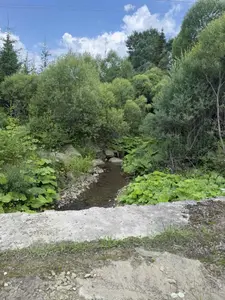Продаж / Земля / Будівництво / Сухий Потік (Орявчик) / Стрийський, Львівська обл. — мініатюра фото 8