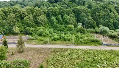 Продаж/ Земля/ Будівництво/ Верхнє Синьовидне/ Стрийський/ Львівська область — мініатюра фото 4