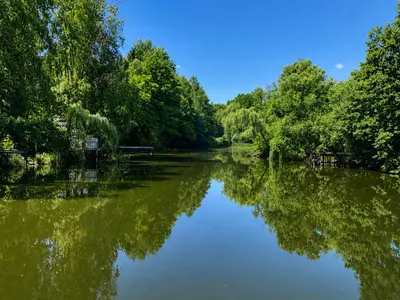 Продаж/Земля/Садівництво/Моршин/Стрийський,Львівська область — мініатюра фото 7