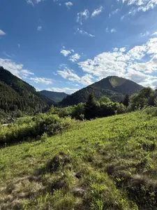 Продаж / Земля / ОСГ/ Тухля / Карпати/ Стрийський /Львівська область — мініатюра фото 6