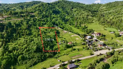 Продаж / Земля / ОСГ/ Тухля / Карпати/ Стрийський /Львівська область — мініатюра фото 8