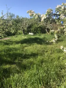 Горенка продаж ділянки під забудову — мініатюра фото 1