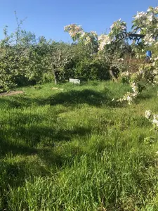 Горенка продаж ділянки під забудову — мініатюра фото 2
