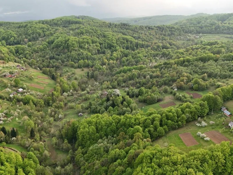 Продаж / Земля / ОСГ/ Орів / Дрогобицький / Львівська область — фото 2 з 12