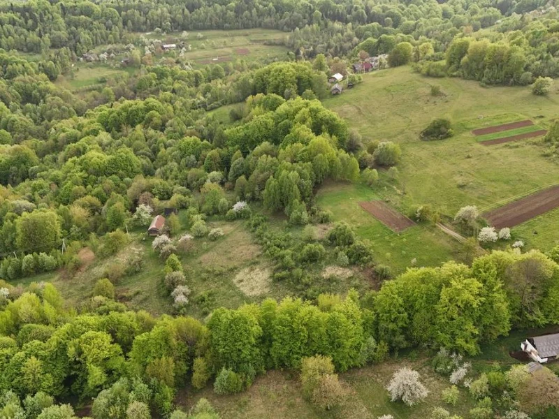 Продаж / Земля / ОСГ/ Орів / Дрогобицький / Львівська область — фото 3 з 12