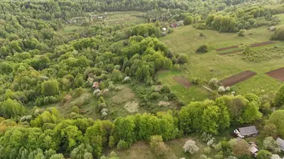 Продаж / Земля / ОСГ/ Орів / Дрогобицький / Львівська область — мініатюра фото 3
