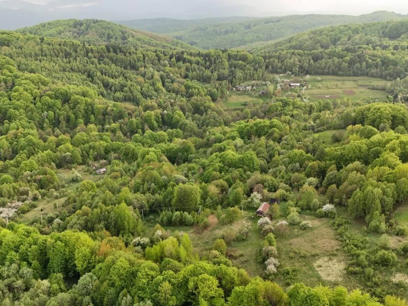 Продаж / Земля / ОСГ/ Орів / Дрогобицький / Львівська область — фото 4 з 12