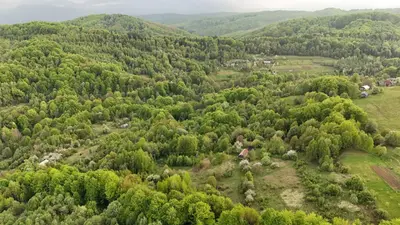 Продаж / Земля / ОСГ/ Орів / Дрогобицький / Львівська область — мініатюра фото 4