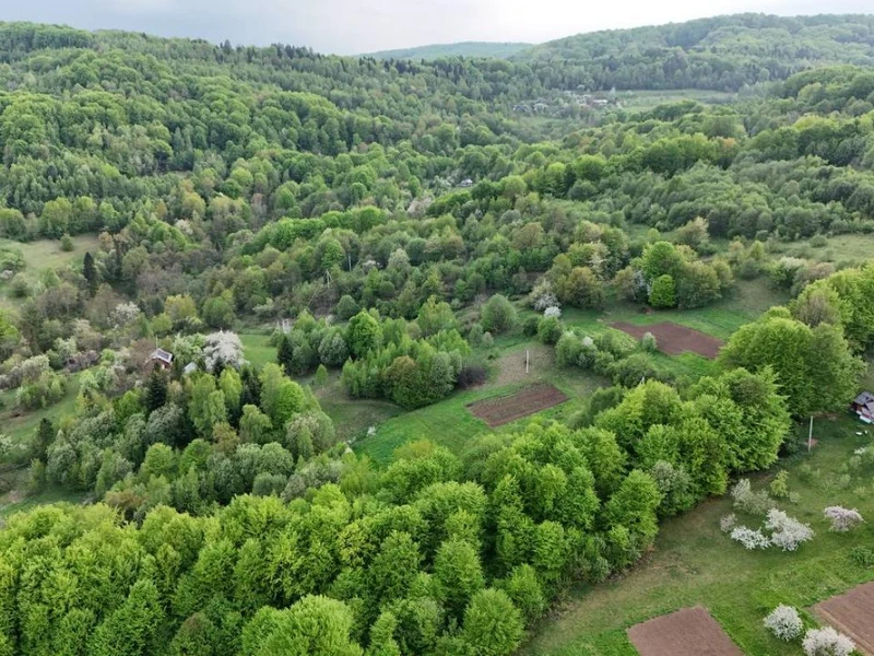 Продаж / Земля / ОСГ/ Орів / Дрогобицький / Львівська область — фото 5 з 12